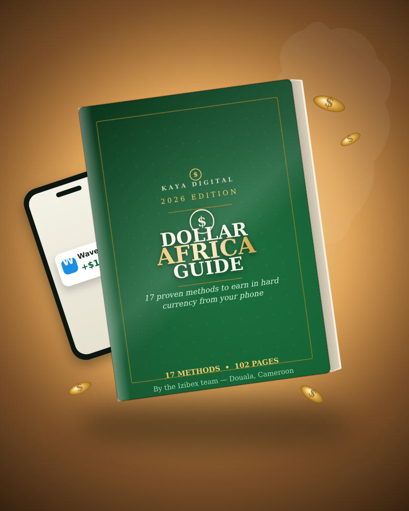 Make Money Online from Africa — 17 methods to earn dollars from Africa, guide cover
