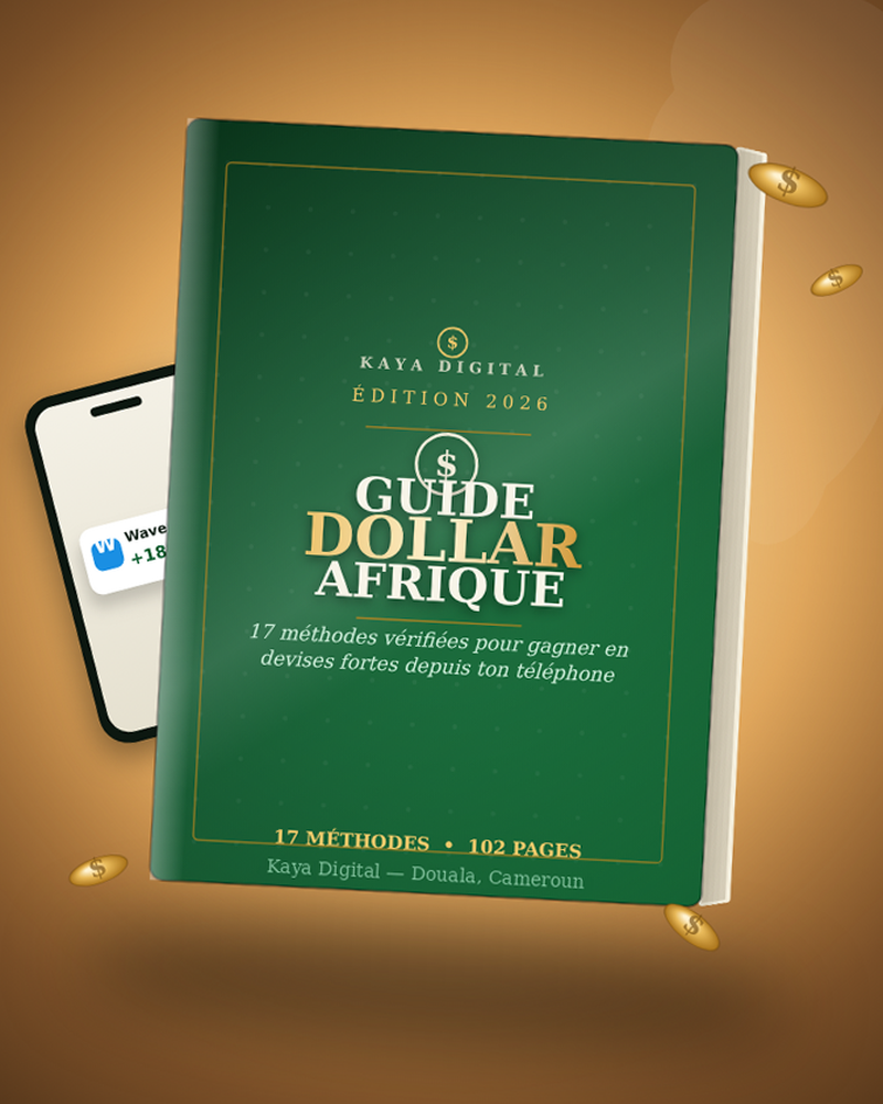 Gagner de l'Argent en Ligne depuis l'Afrique — 17 méthodes pour gagner en dollars depuis l'Afrique, couverture du guide
